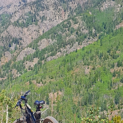 customer photo of Bakcou Lime ck scouting