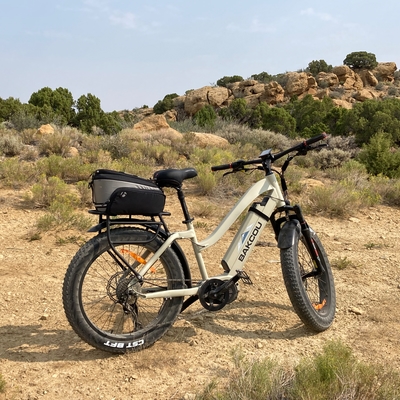 customer photo of Bakcou Bakcou Mule on BLM Dirt Track south of Rock Springs WY