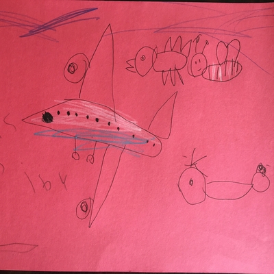customer photo of Beanstalk.co Cassidy drew things that fly. ( Airplane, helicopter, bird & a bee)