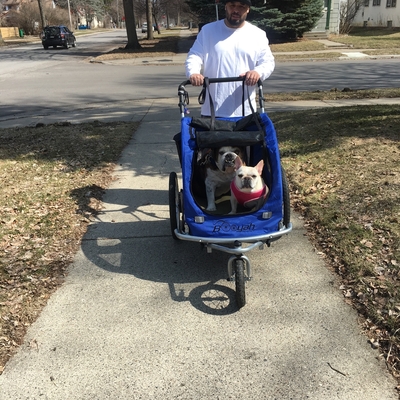 Ralphie and Sophia love strolling the neighborhood 