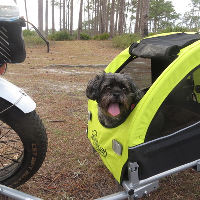 Slippers is happy riding in her Booyah bike trailer!