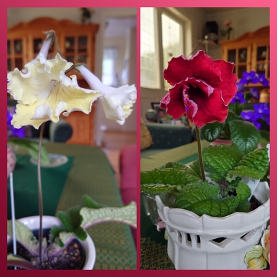 customer photo of Dibleys customer photo of Dibleys