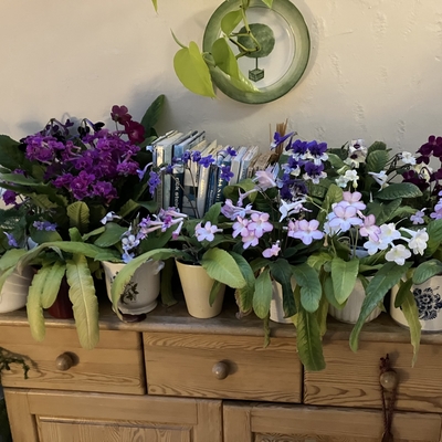 customer photo of Dibleys Do you think I have a problem???
