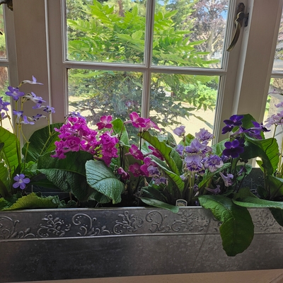 customer photo of Dibleys customer photo of Dibleys