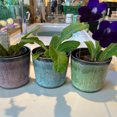 customer photo of Dibleys customer photo of Dibleys