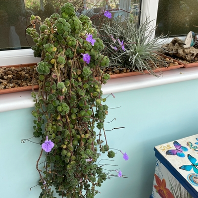 customer photo of Dibleys customer photo of Dibleys