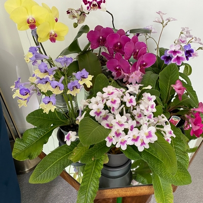 customer photo of Dibleys customer photo of Dibleys