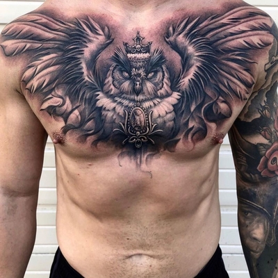 Owl Owl