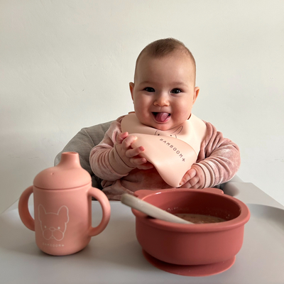 Silicone Baby Set ( bib, bowl, spoon, glass with spout) - PINK 07