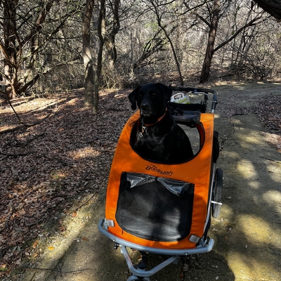 Large Pet Stroller, Bike Trailer and Jogger with Suspension - Orange