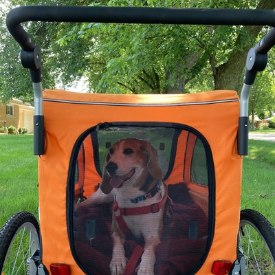 customer photo of Booyah Strollers