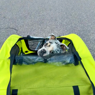 customer photo of Booyah Strollers