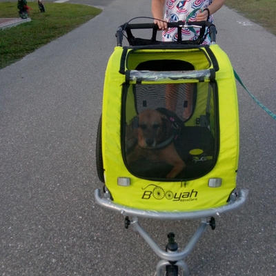 Large Stroller with my 42lb dog Sally. I love this stroller. It is well made and rolls easily and my dog loves it. 