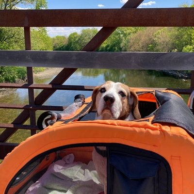 customer photo of Booyah Strollers