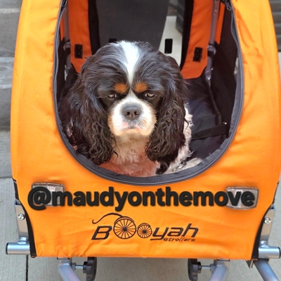 Maudy is Ready to Ride!! 