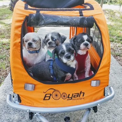 customer photo of Booyah Strollers