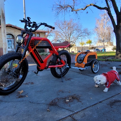 Bought the additional e-bike hitch which fits these larger bolts and the trailer rides so smooth, high quality & my dog LOVES to ride in the trailer, he gets so excited w