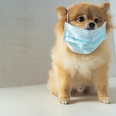 customer photo of CPU Prod Test3