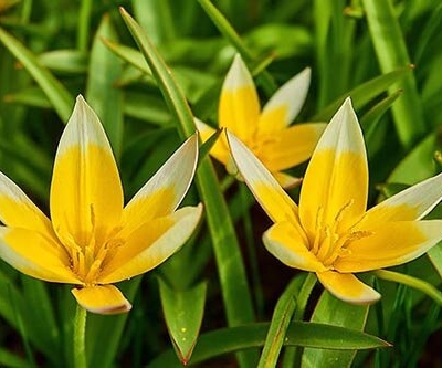 customer photo of CPU Prod Test3