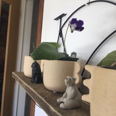 customer photo of Dibleys