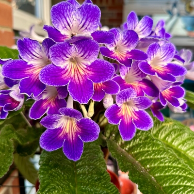 Zoe - looking amazing this year!!