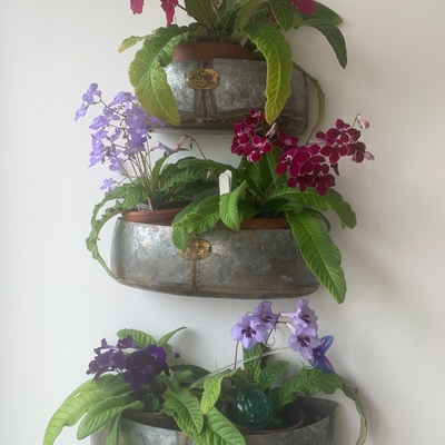 customer photo of Dibleys
