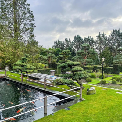 Japanese style garden photo of Gardenscapedirect