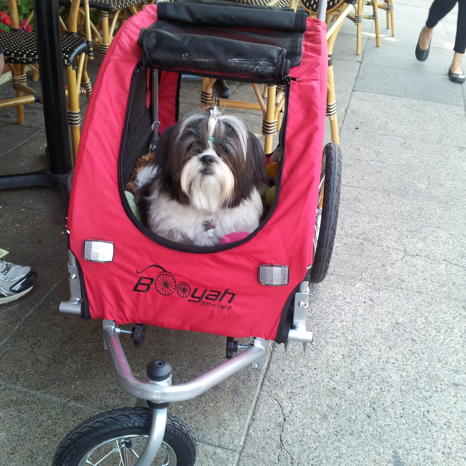 Baby and Pets Strollers and Bike Trailers Booyah Strollers
