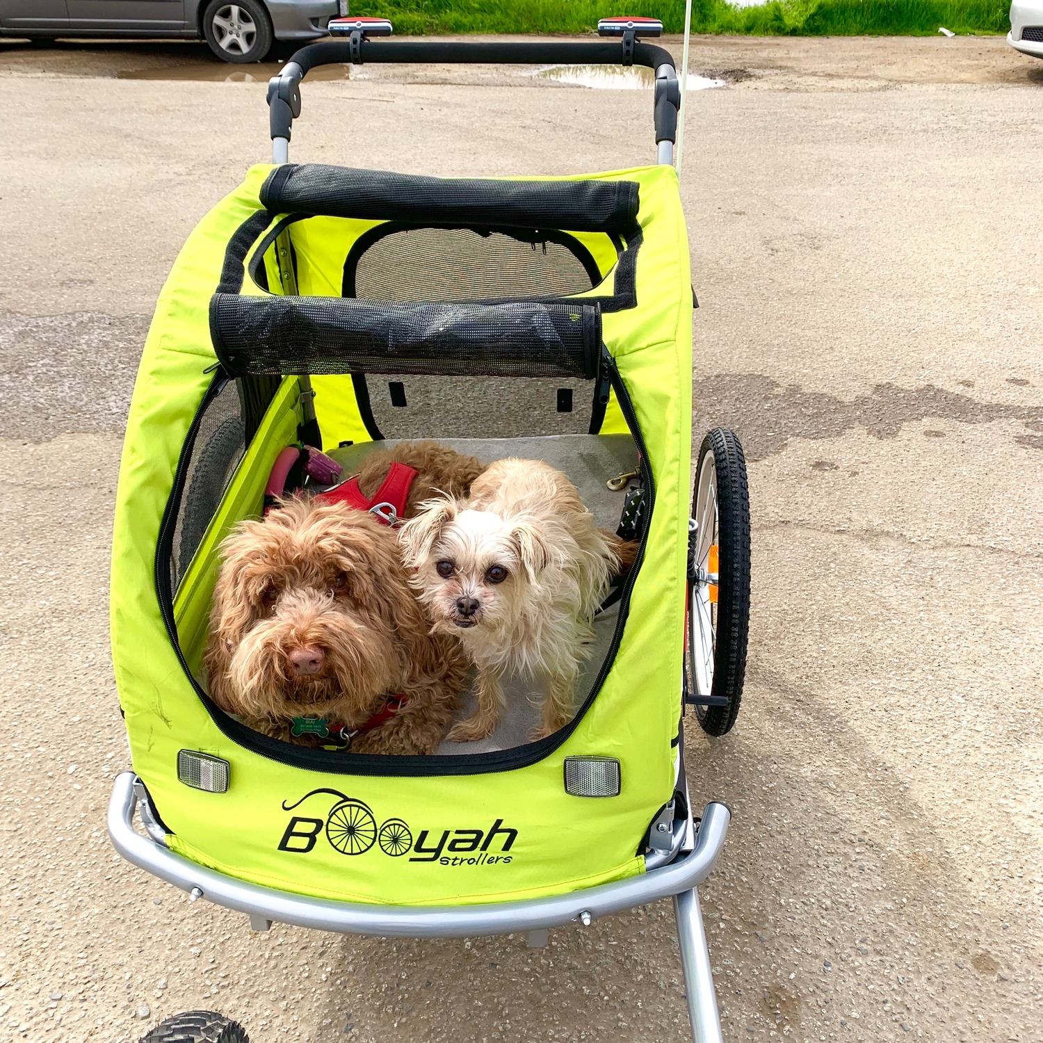 Large Pet Stroller and Trailer with Suspension Fluorescent Green/Yel