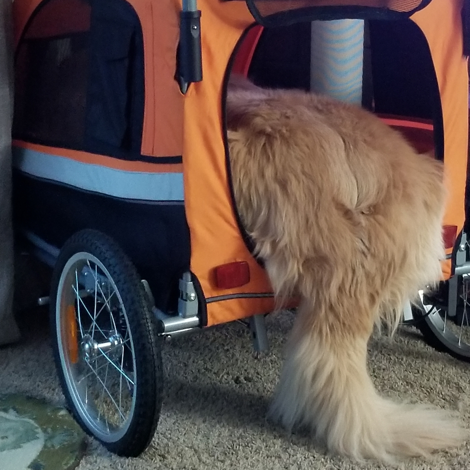Extra Large Pet Dog Stroller and Bicycle Trailer with Suspension Ora