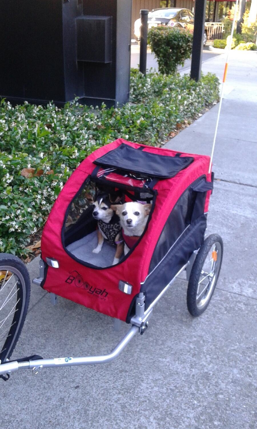 Baby and Pets Strollers and Bike Trailers Booyah Strollers