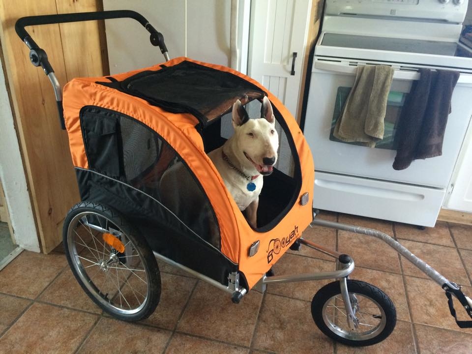 Baby and Pets Strollers and Bike Trailers Booyah Strollers