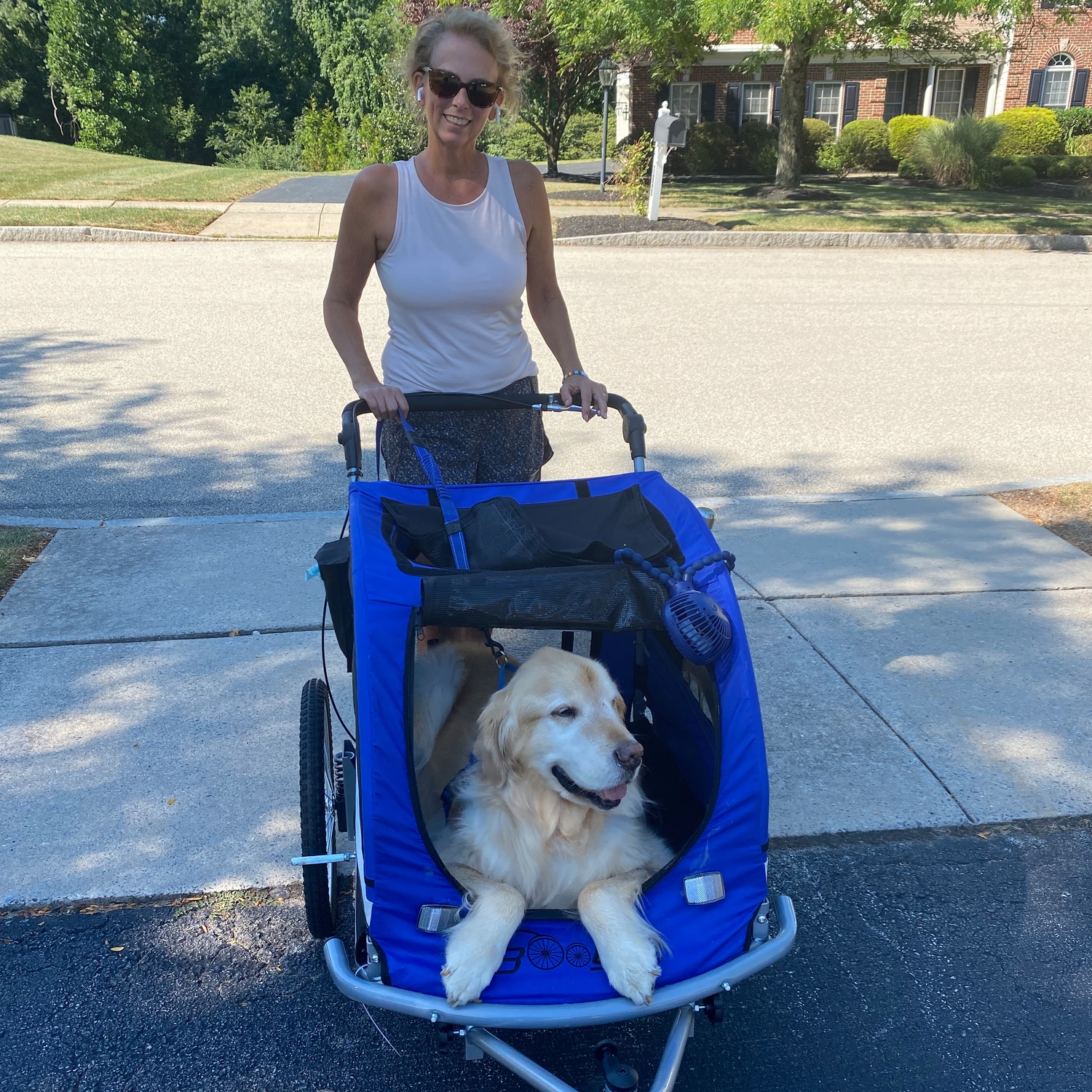 Booyah Strollers Child and Dog Strollers and Bike Trailers.