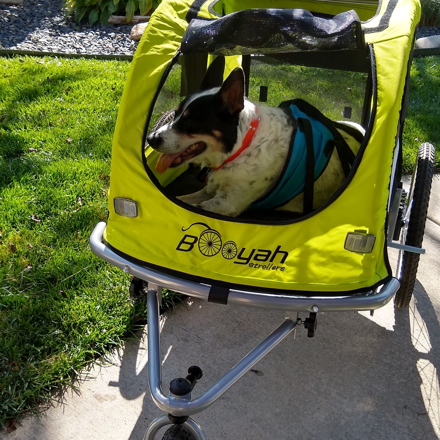 Large Pet Stroller and Trailer with Suspension Fluorescent Green/Yel