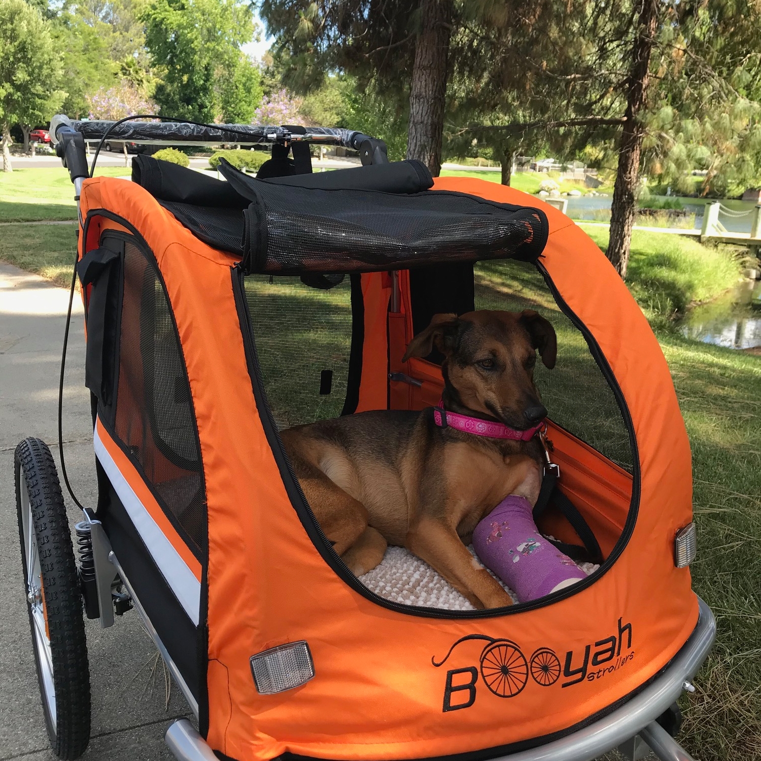 dog buggy for bike