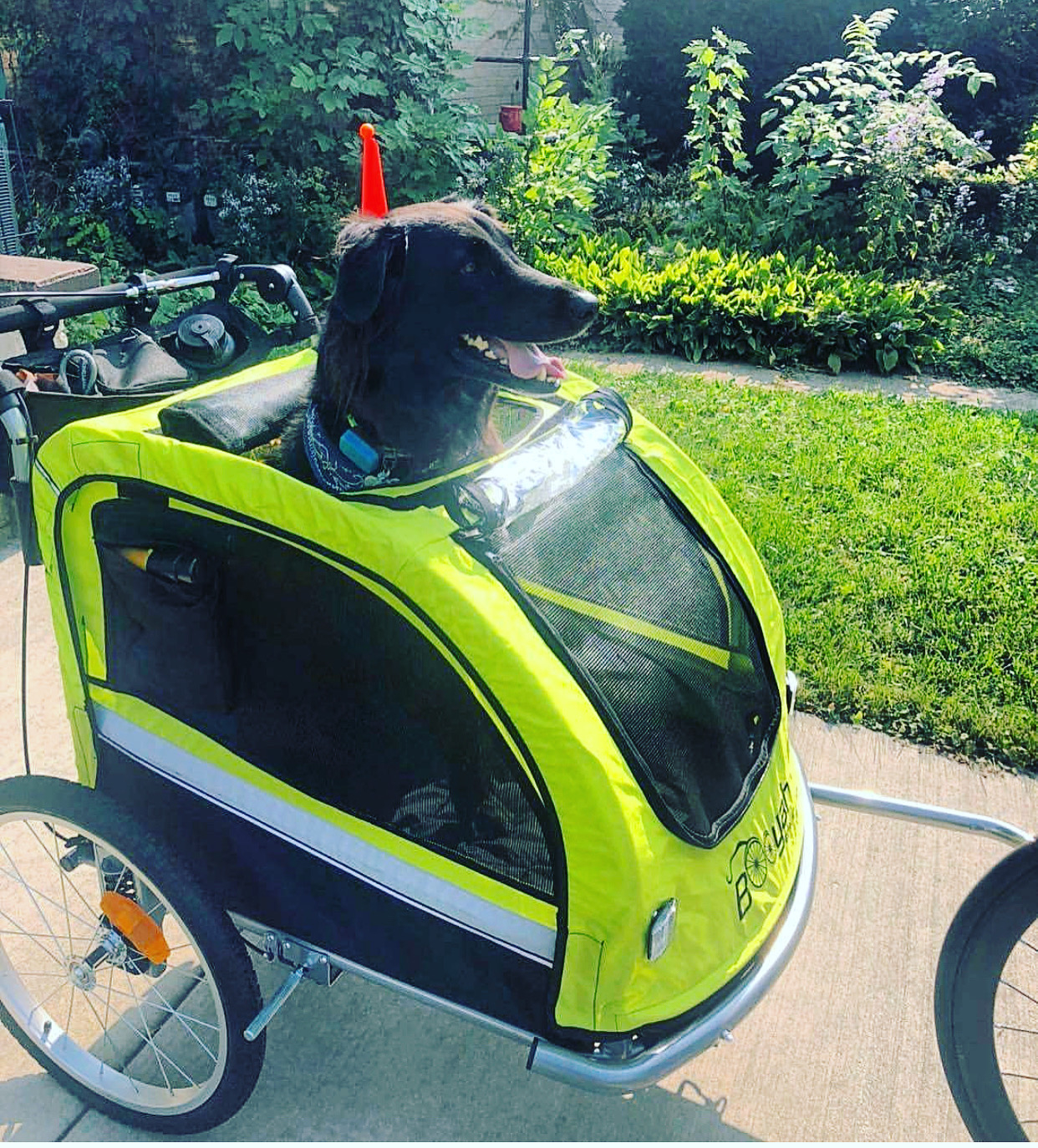 Large Pet Stroller and Trailer with Suspension Fluorescent Green/Yel