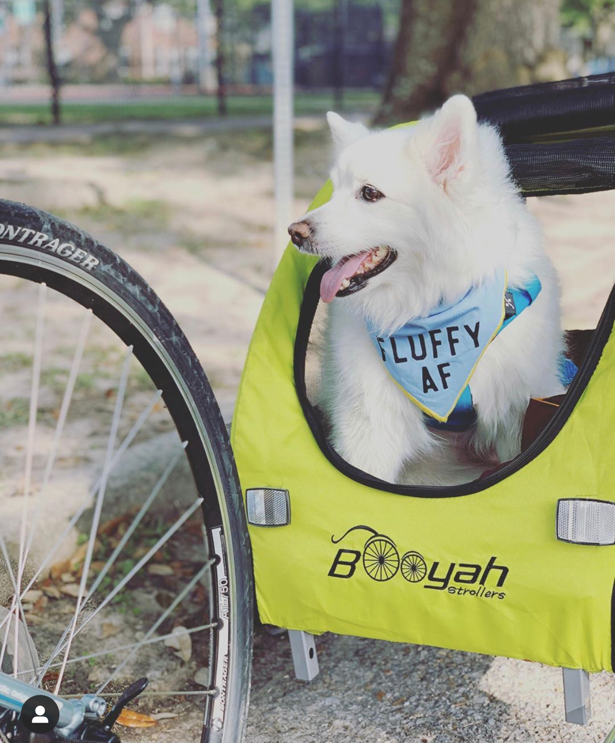 Baby and Pets Strollers and Bike Trailers Booyah Strollers