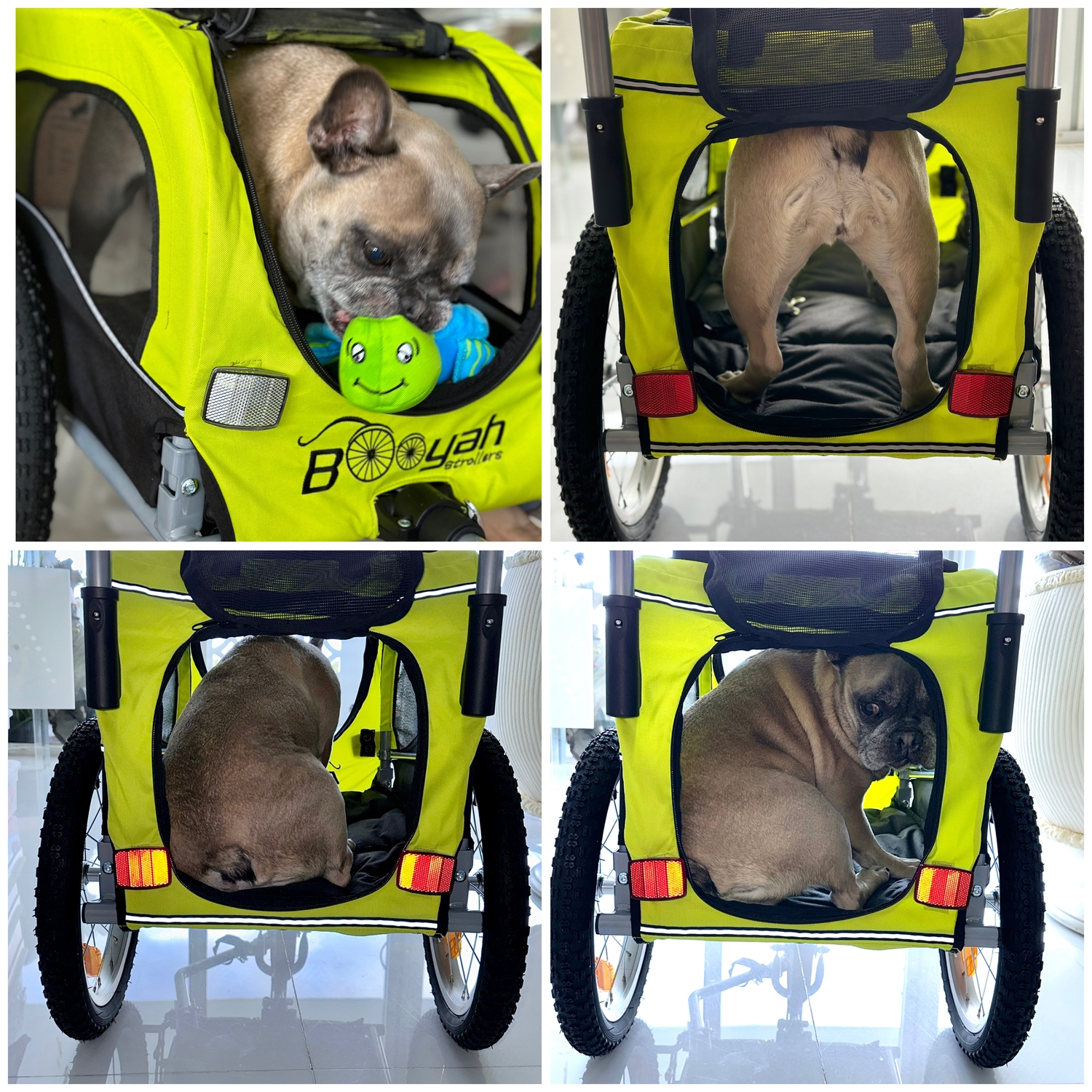 Booyah Strollers Child and Dog Strollers and Bike Trailers.