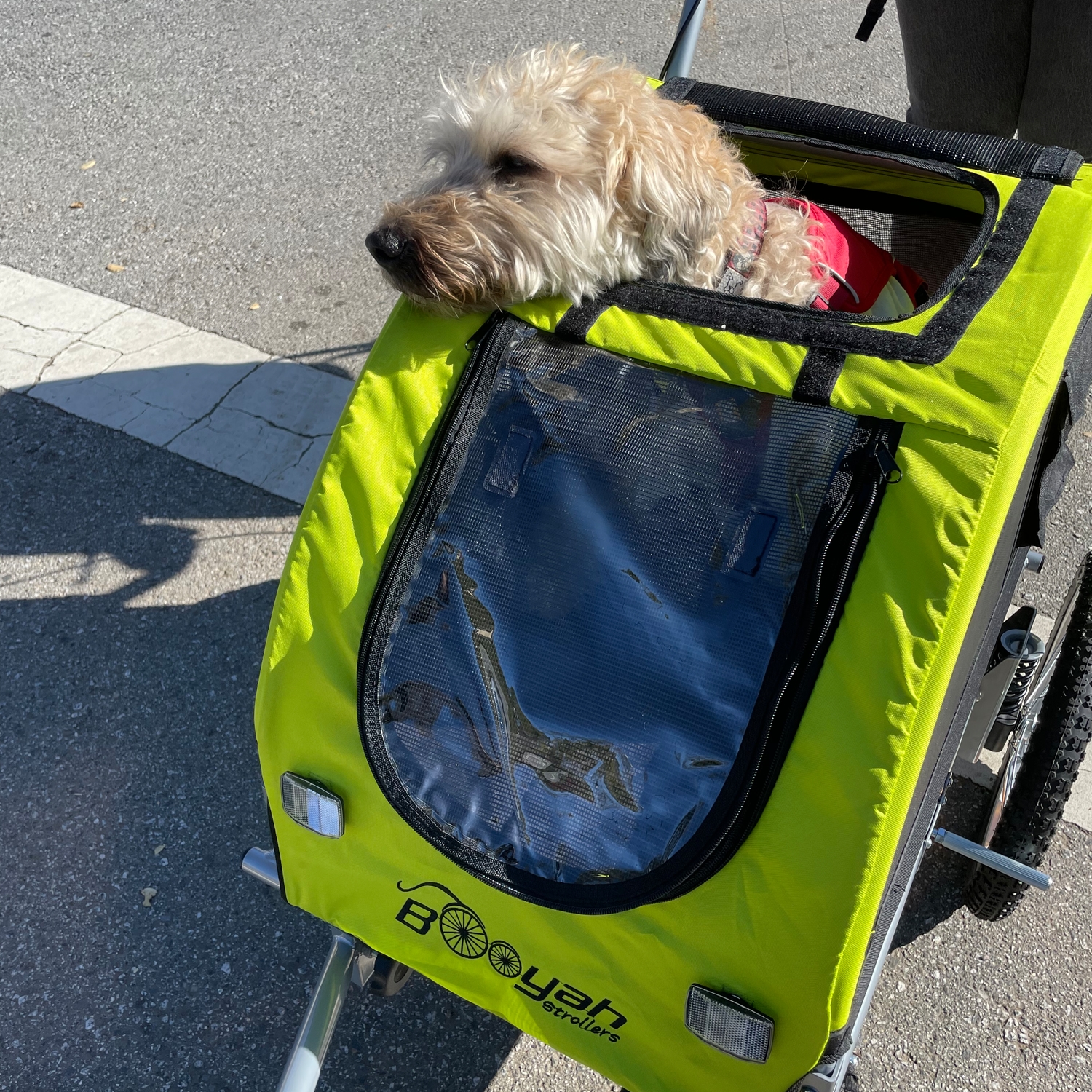 Booyah Strollers Child and Dog Strollers and Bike Trailers.