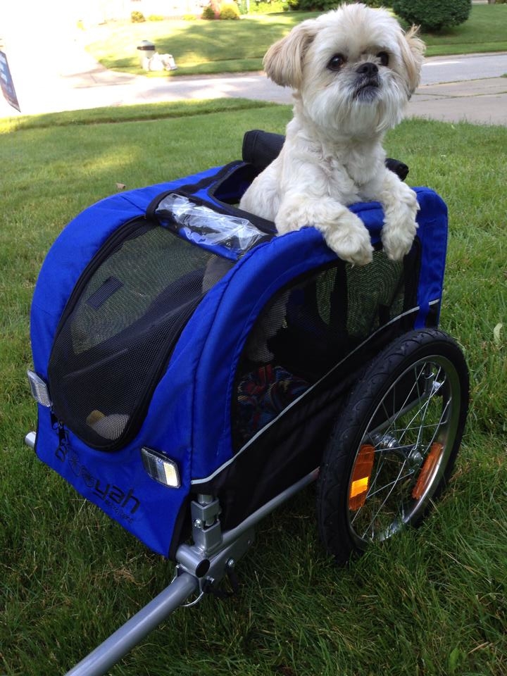 Baby and Pets Strollers and Bike Trailers Booyah Strollers